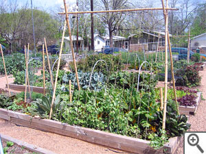 Treillage en bambou au potager