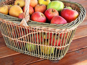 Panier de pommes bio