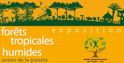 Exposition Forêts tropicales humides