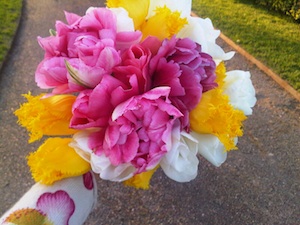 Tulipes Angélique