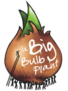 Big Bulb Plant