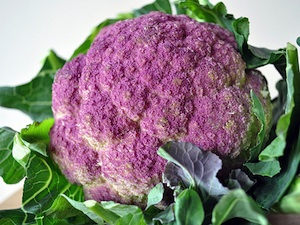 Chou-fleur violet
