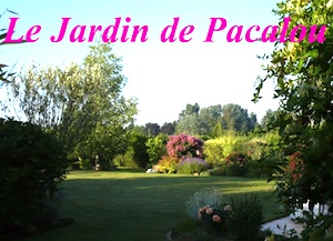 D.R. Le Jardin de Pacalou - http://lejardindepacalou.blogspot.com/ D.R. Le Jardin de Pacalou - http://lejardindepacalou.blogspot.com/
