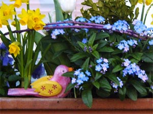 Détail de la jardinière