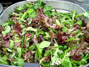 400 graines ... un mélange de plus doux au goût salade feuilles Mesclun-sweetleaf mix 