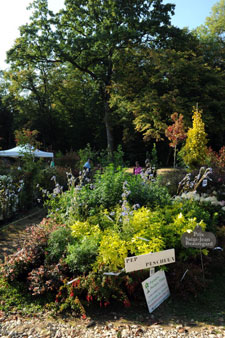 Stand des pépinières Pescheux