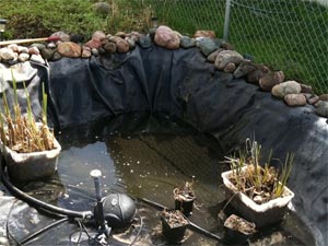 bassin de jardin avec bache