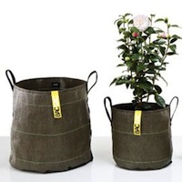 Bacsac - Pot de plantation