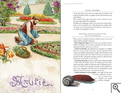Les miscellanées du jardin