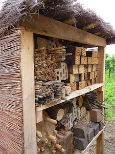 Hôtel à insectes