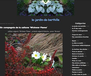  - http://le-jardin-de-berthille.over-blog.com/
