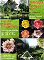 Fête des Hellébores au Jardin de Campagne