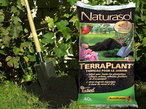 Terreau TerraPlant Naturasol