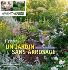 Créer un jardin sans arrosage : de style méditerranéen