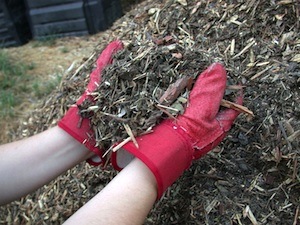 mulch dechets vegetaux