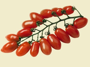 Tomate Trilly F1 - La Sélection du Chef®