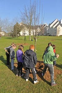 Plantation du verger municipal de Caen
