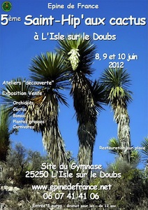 Saint Hip' aux Cactus