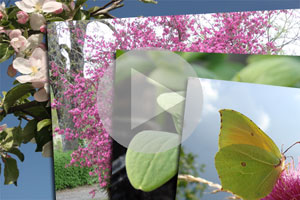 Quelques exemples de photos du concours. Cliquez !