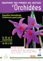 Exposition internationale d'orchidées à Toulouse