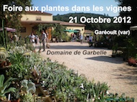 Foire aux plantes dans les vignes