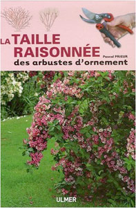 La taille raisonnée des arbustes d'ornement