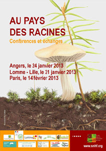 Au pays des racines - affiche