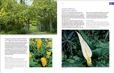 Fragrantissima le guide des plantes parfumées