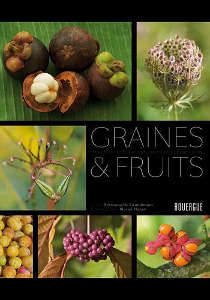 Graines et fruits