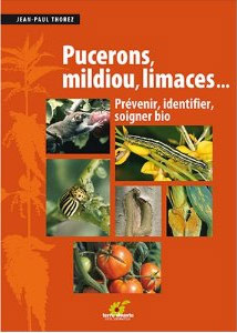 Pucerons, mildiou, limaces : prévenir, identifier, soigner bio