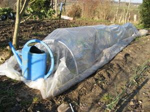 Voile d'hivernage au potager d'altitude
