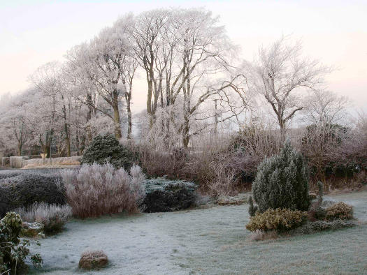 Le jardin endormi ?