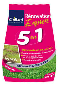 Caillard Renovation express 5 en 1 