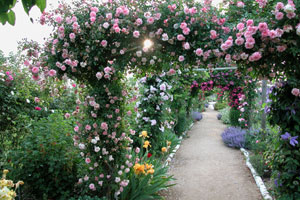 Le Jardin de Morailles