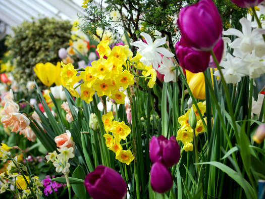 Contraste de couleurs