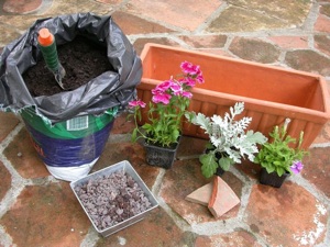 Plantes et matériel