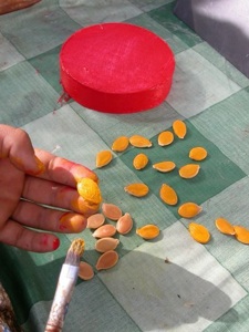 Tuteur rigolo : peinture des graines