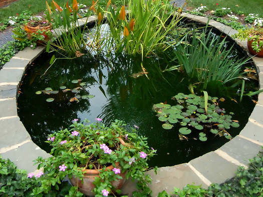 bassin de jardin rond