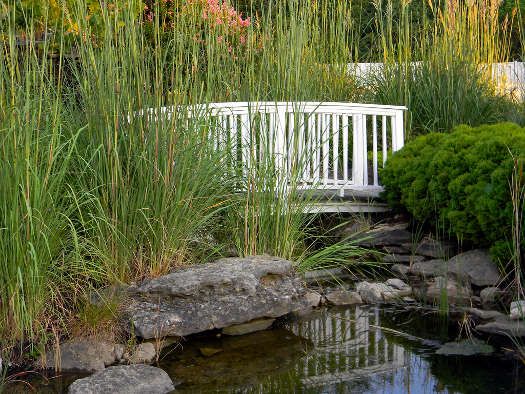 Un pont sur le bassin