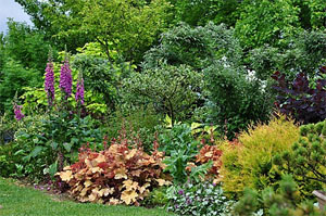 Le Jardin des Vigneaux Le Jardin des Vigneaux