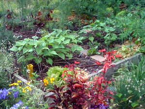 Potager en hauteur