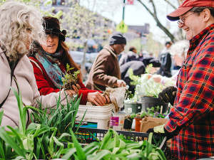 Bourses aux plantes