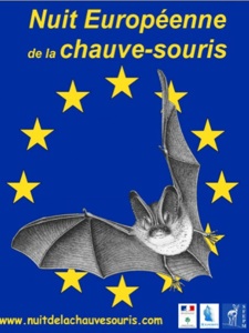 Nuit de la chauve-souris
