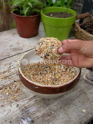 Comment faire des boules de graisse et de graines pour nourrir les