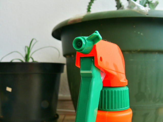 Brumisateur manuel pour plante et chaleur – Spray brumisateur à