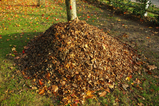 faire du compost avec les feuilles mortes faire du compost avec les feuilles mortes