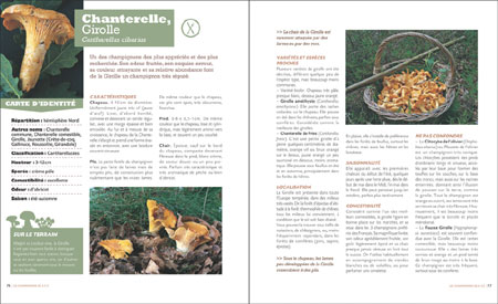 Petit traité Rustica des Champignons