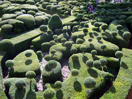 Au pays des merveilles