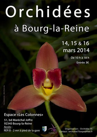 Expo Orchidées