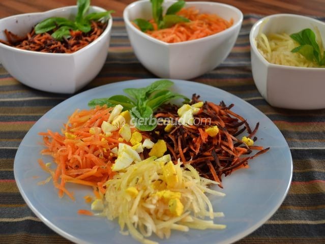 Comment faire des carottes râpées ? 3 méthodes - Pratiks